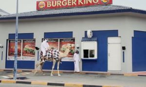 Camel Burger King